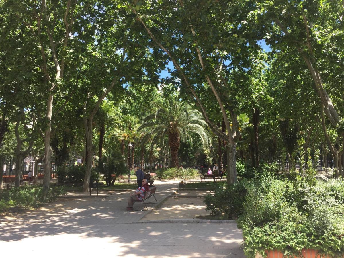 מדריד Ever House - Alcala Brisa Gran Terraza Rooftop מראה חיצוני תמונה